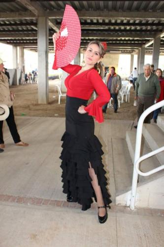 DANZA FLAMENCA